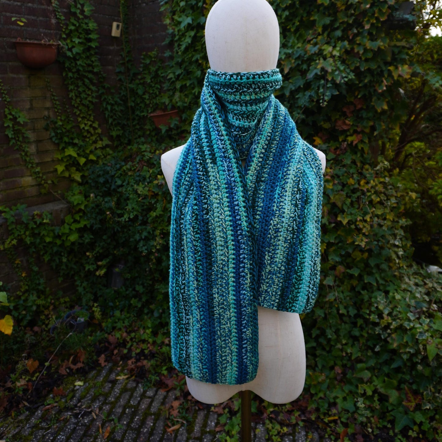 Blue Cat Ear Beanie and Scarf Set