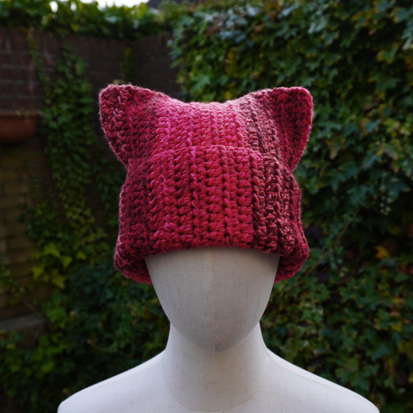 Red Cat Ear Beanie and Scarf Set