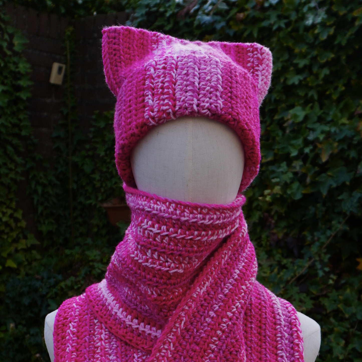 Pink Cat Ear Beanie and Scarf Set