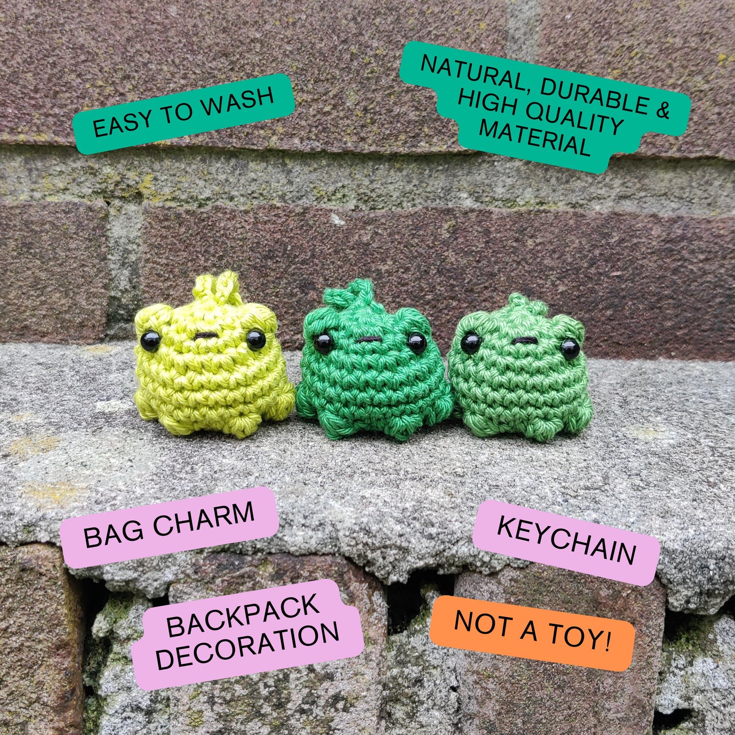 Froggy keychain & bag charm