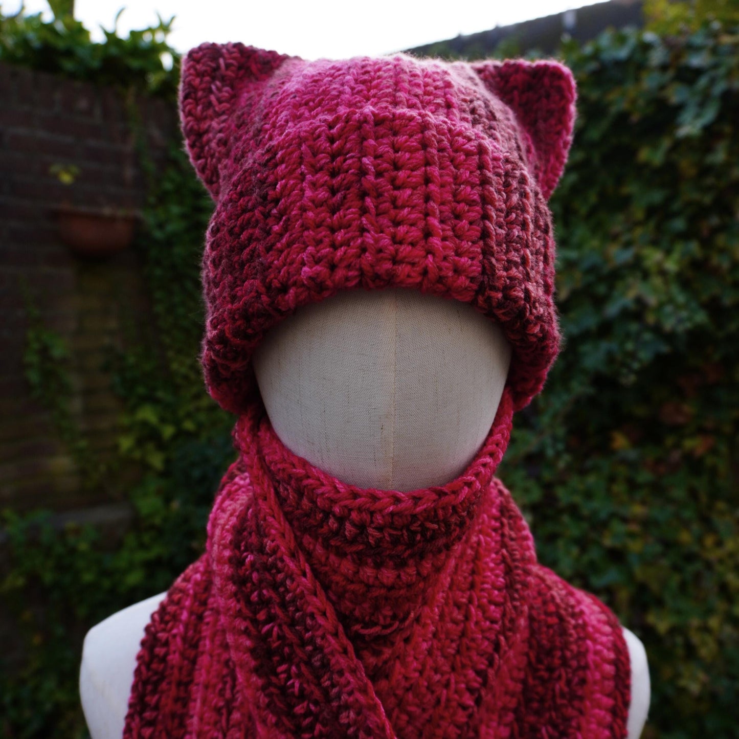 Red Cat Ear Beanie and Scarf Set