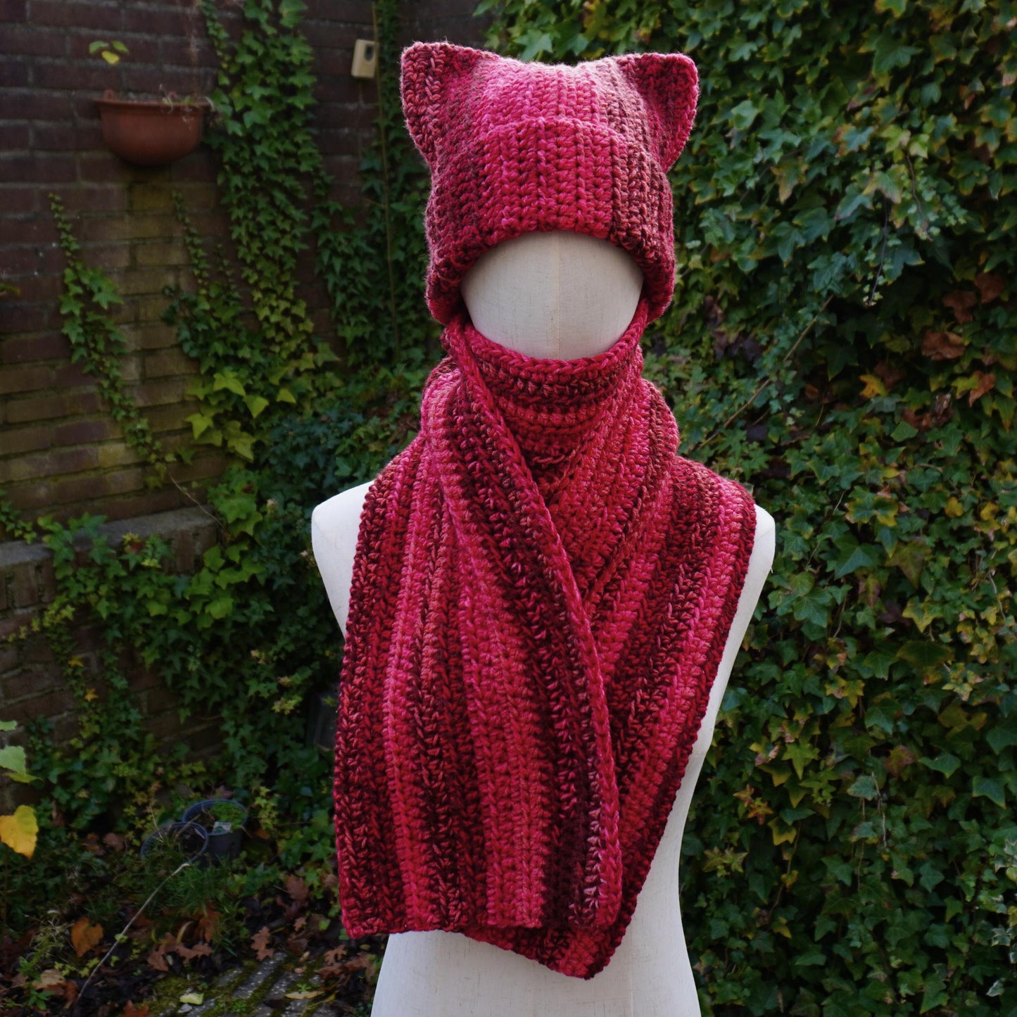 Red Cat Ear Beanie and Scarf Set