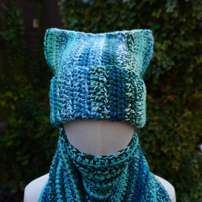 Blue Cat Ear Beanie and Scarf Set