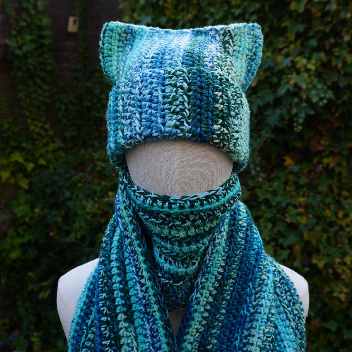 Blue Cat Ear Beanie and Scarf Set