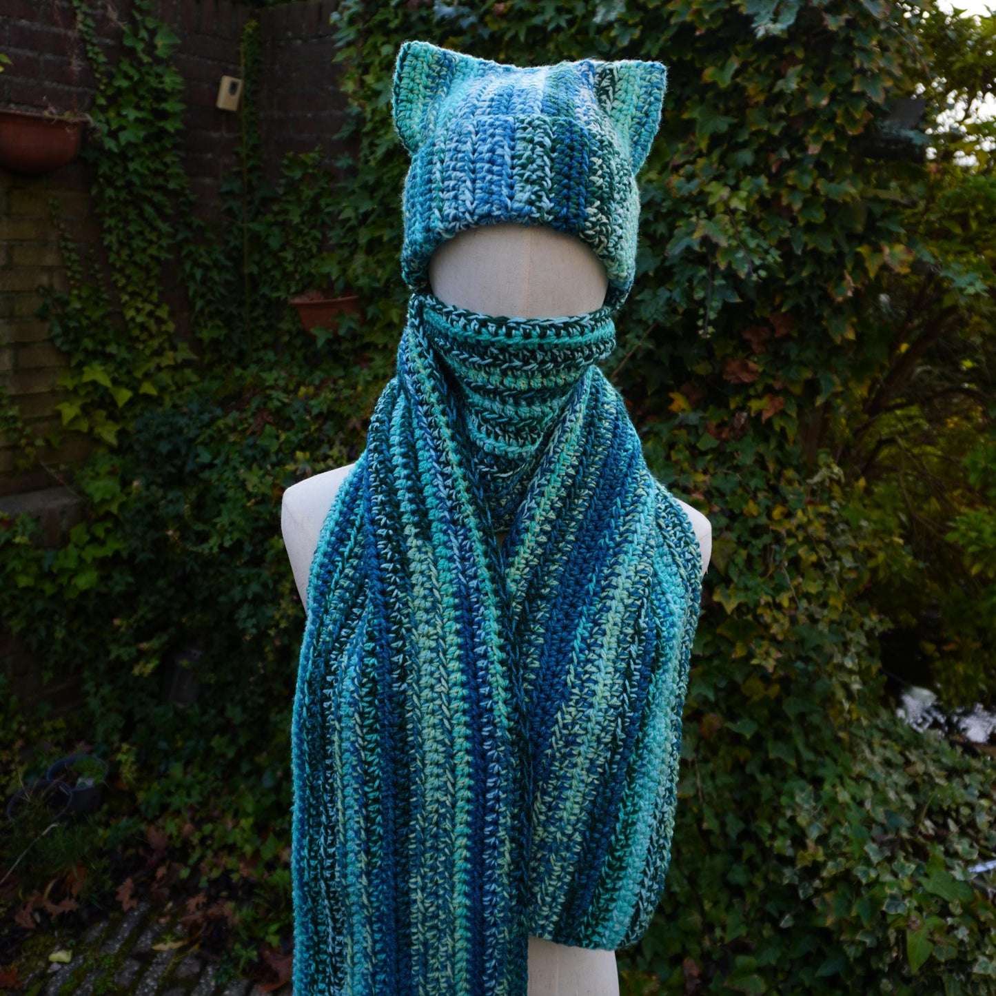 Blue Cat Ear Beanie and Scarf Set