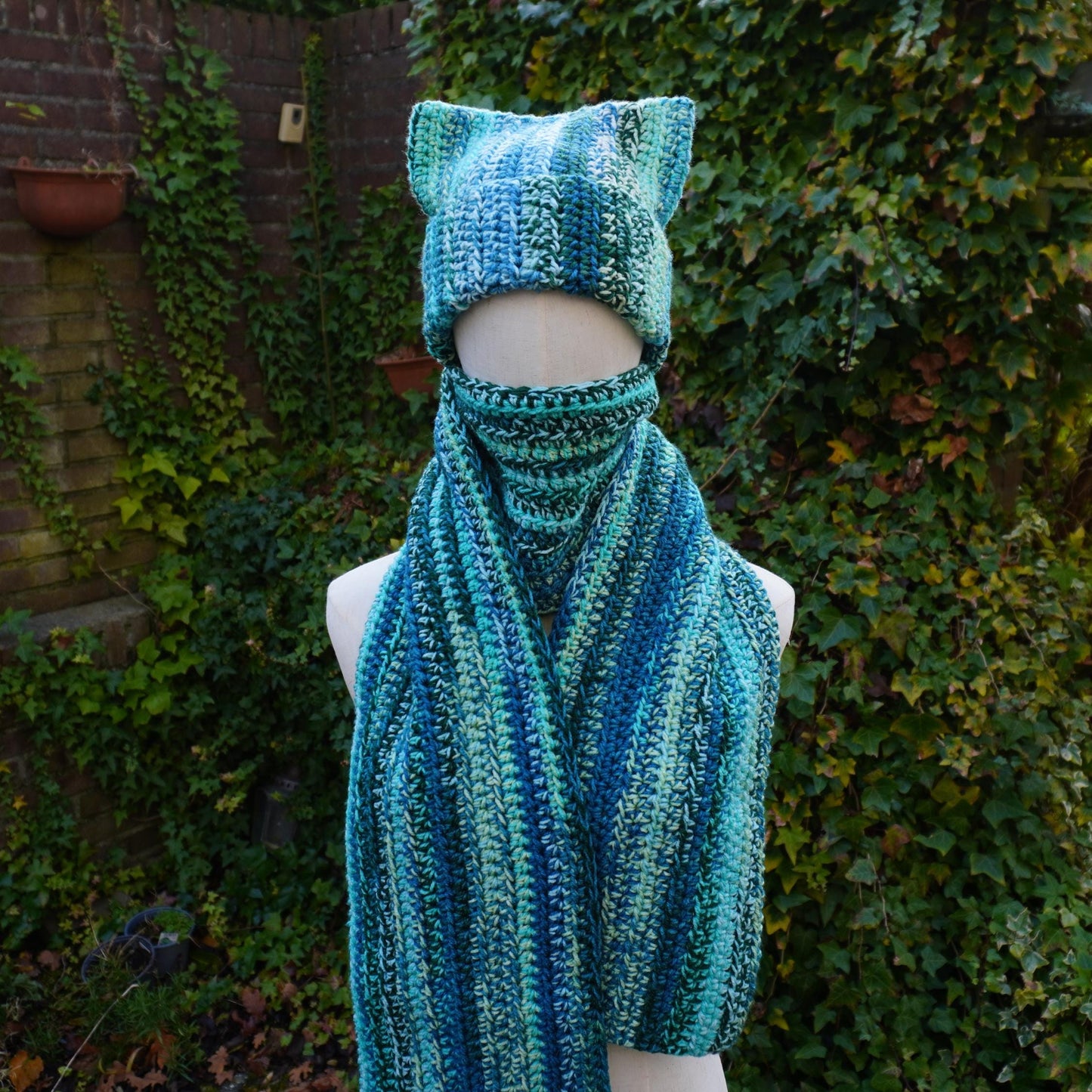 Blue Cat Ear Beanie and Scarf Set