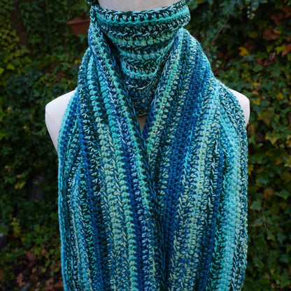 Blue Cat Ear Beanie and Scarf Set