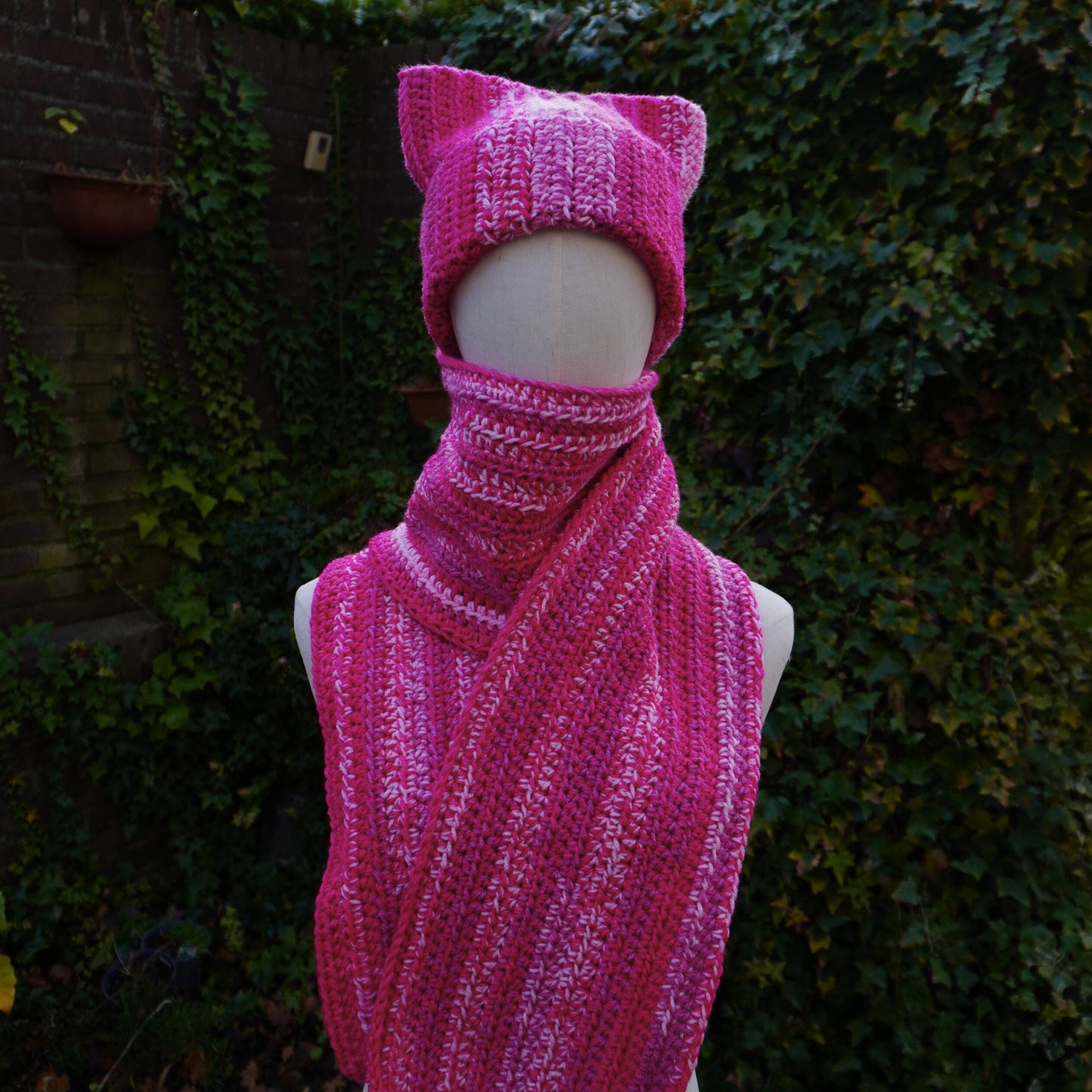 Pink Cat Ear Beanie and Scarf Set
