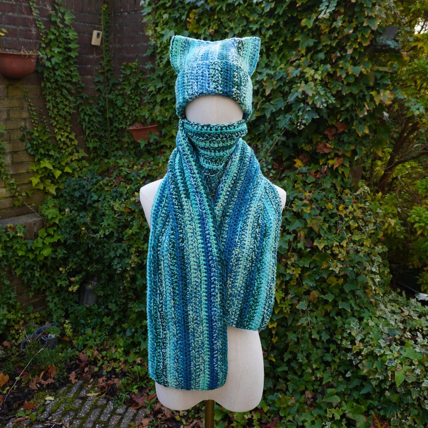 Blue Cat Ear Beanie and Scarf Set